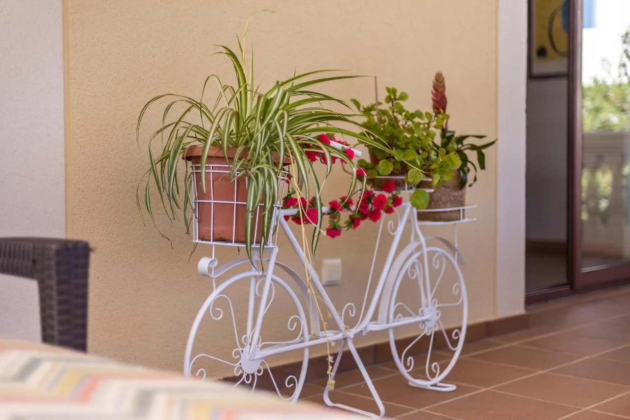 Luxurious Villa Sol De Mallorca 0*,